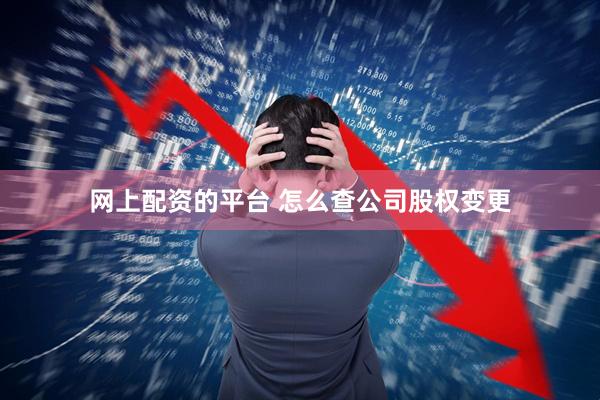 网上配资的平台 怎么查公司股权变更
