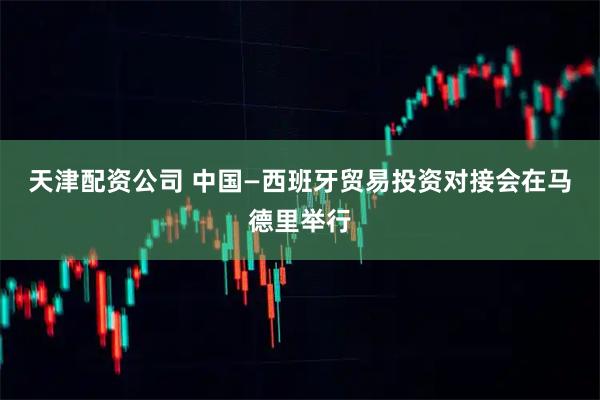 天津配资公司 中国—西班牙贸易投资对接会在马德里举行